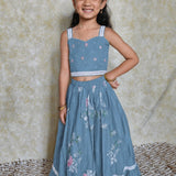 Blue chanderi butterfly lehenga set